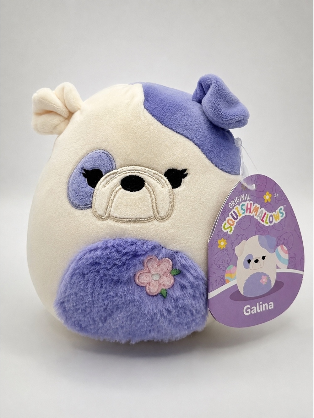 Squishmallows Galina Bulldog Dog 5” Easter 2025 Fuzzy Belly Plush NWT